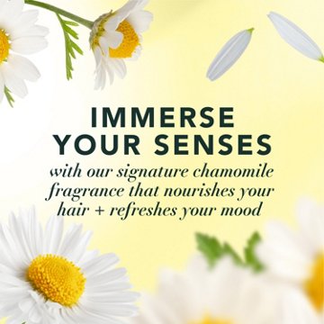 Herbal Essences Chamomile Shine Shampoo