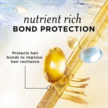 Pantene Nutrient Blends Hydrating Glow Baobab + Hyaluronic Sulfate Free Shampoo