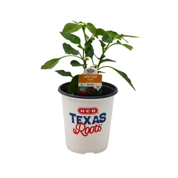 H-E-B Texas Roots Sweet Heat Pepper