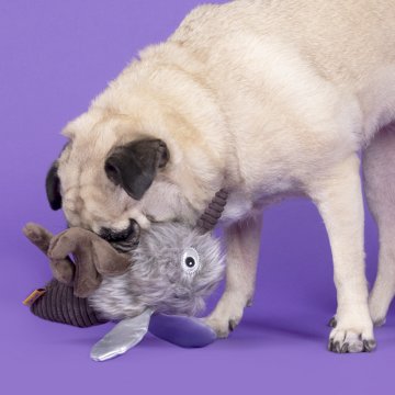 Woof & Whiskers Plush Dog Toy - Mosquito