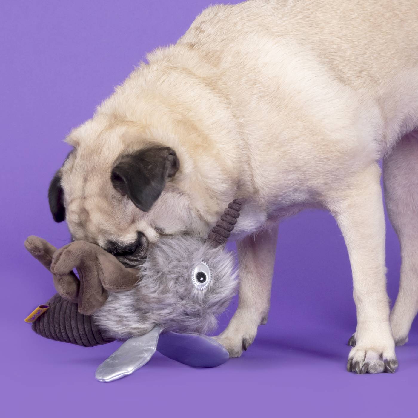 Woof & Whiskers Plush Dog Toy - Mosquito; image 7 of 8