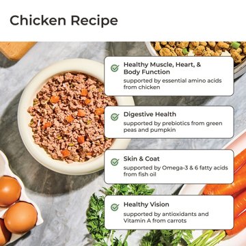 Freshpet Homestyle Creations Homestyle Creations Fresh Dog Food - Chicken & Turkey with Veggies