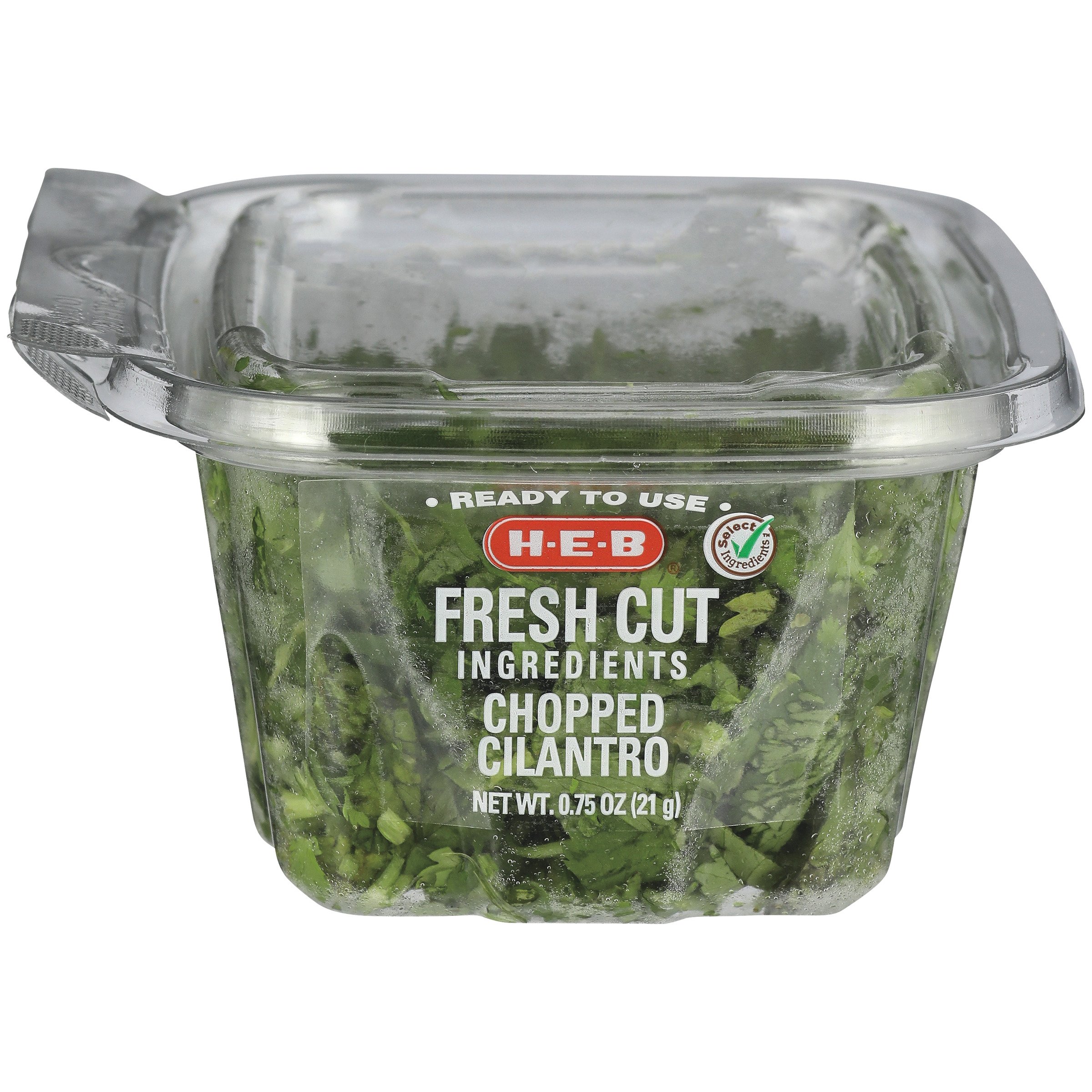 H-E-B Single Serve Chopped Cilantro - Shop Herbs At H-E-B