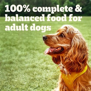 Pedigree Choice Cuts In Gravy Adult Soft Wet Dog Food