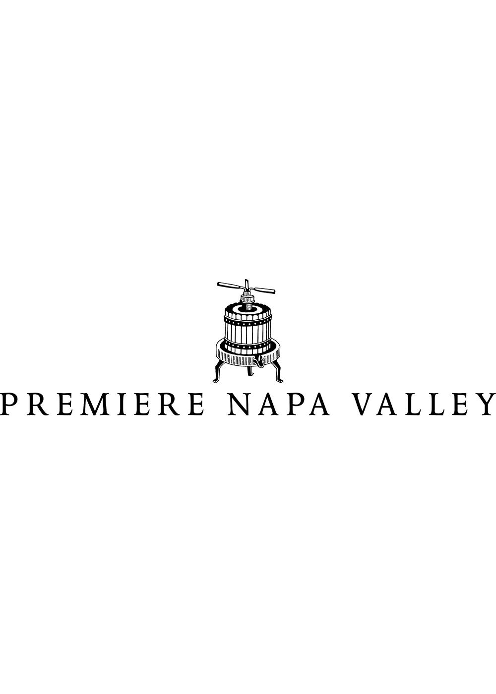 Premier Napa Valley Stag's Leap Winery 2016 Cabernet Sauvignon, Lot No. 111; image 1 of 2