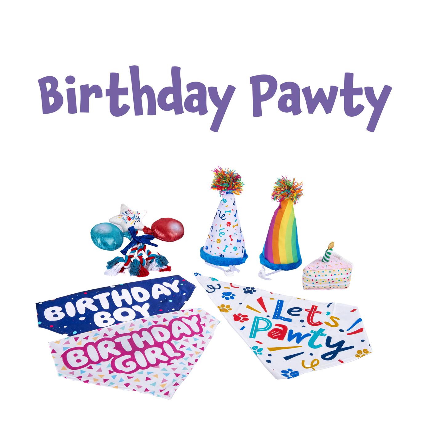 Woof & Whiskers Birthday Party Plush Dog Toy; image 3 of 5