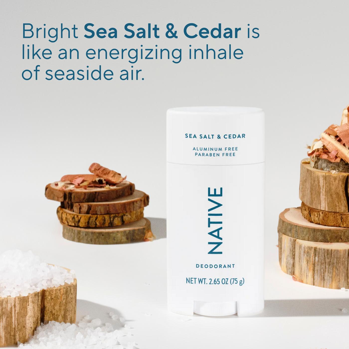 Native Aluminum Free Deodorant - Sea Salt & Cedar; image 6 of 10