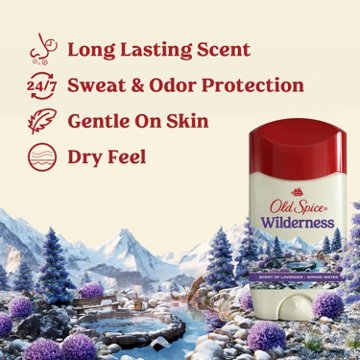 Old Spice Antiperspirant Deodorant - Wilderness