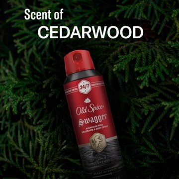 Old Spice Men's Aluminum Free Deodorant Dry Body Spray, Swagger, 24/7 Odor Protection