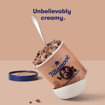 Tillamook Mudslide Ice Cream