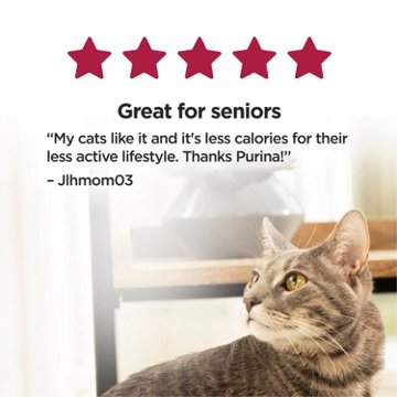 Cat Chow Purina Healthy Aging 7+ Senior Dry Cat Food - Chicken