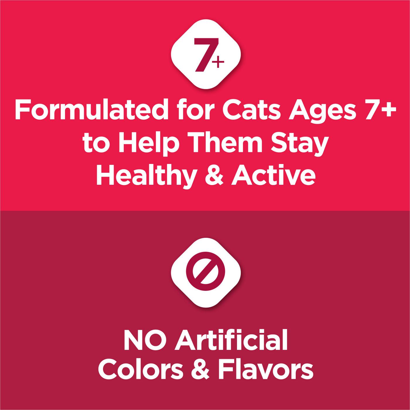 Cat Chow Purina Cat Chow Joint Health Senior Dry Cat Food, Essentials 7+ Immune + Joint Health Recipe; image 5 of 5
