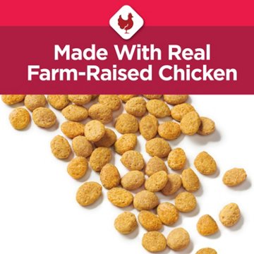 Cat Chow Purina Healthy Aging 7+ Senior Dry Cat Food - Chicken