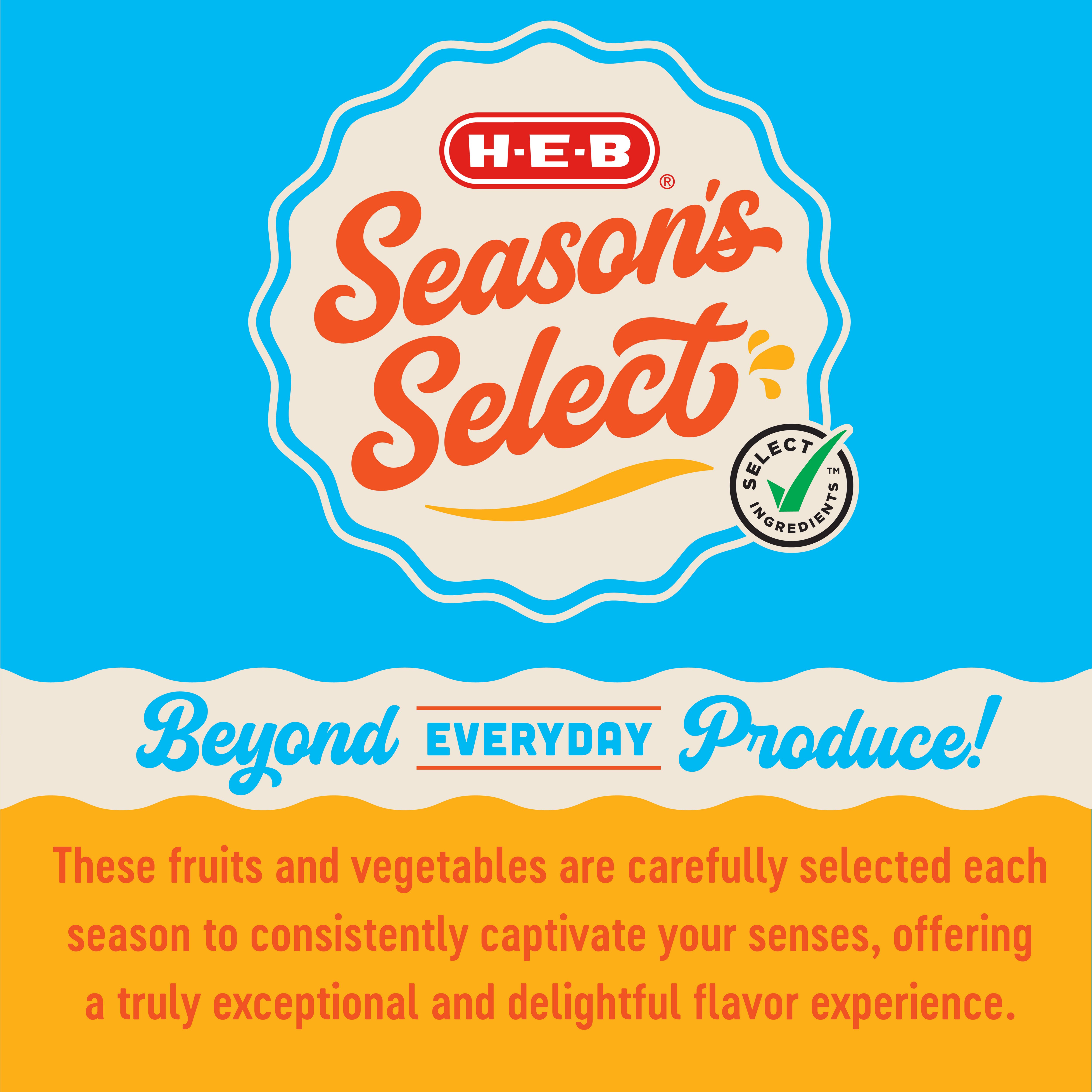 H-E-B Season's Select Melon - Summer Gem - Shop Melons at H-E-B