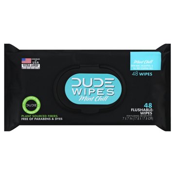 Dude Wipes Mint Chill XL Flushable Wipes, 48 ct