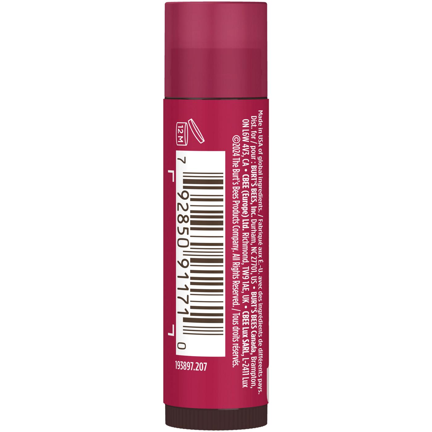 Burt's Bees 100% Natural Moisturizing  Tinted Lip Balm - Daisy; image 6 of 6