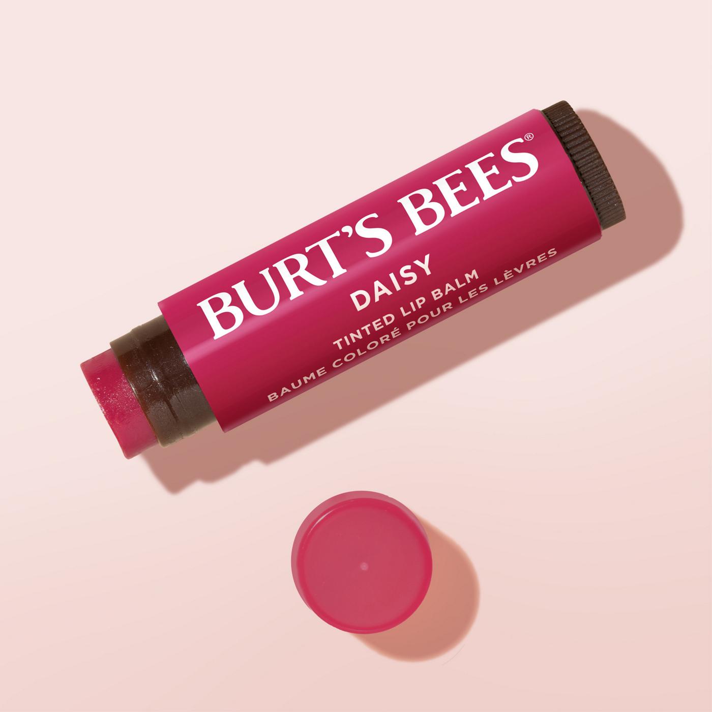 Burt's Bees 100% Natural Moisturizing  Tinted Lip Balm - Daisy; image 2 of 6