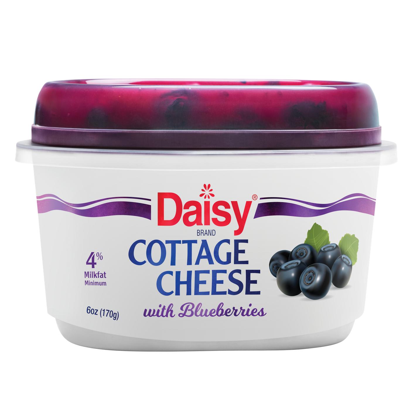 Daisy Cottage Cheese With Blueberries; image 1 of 5