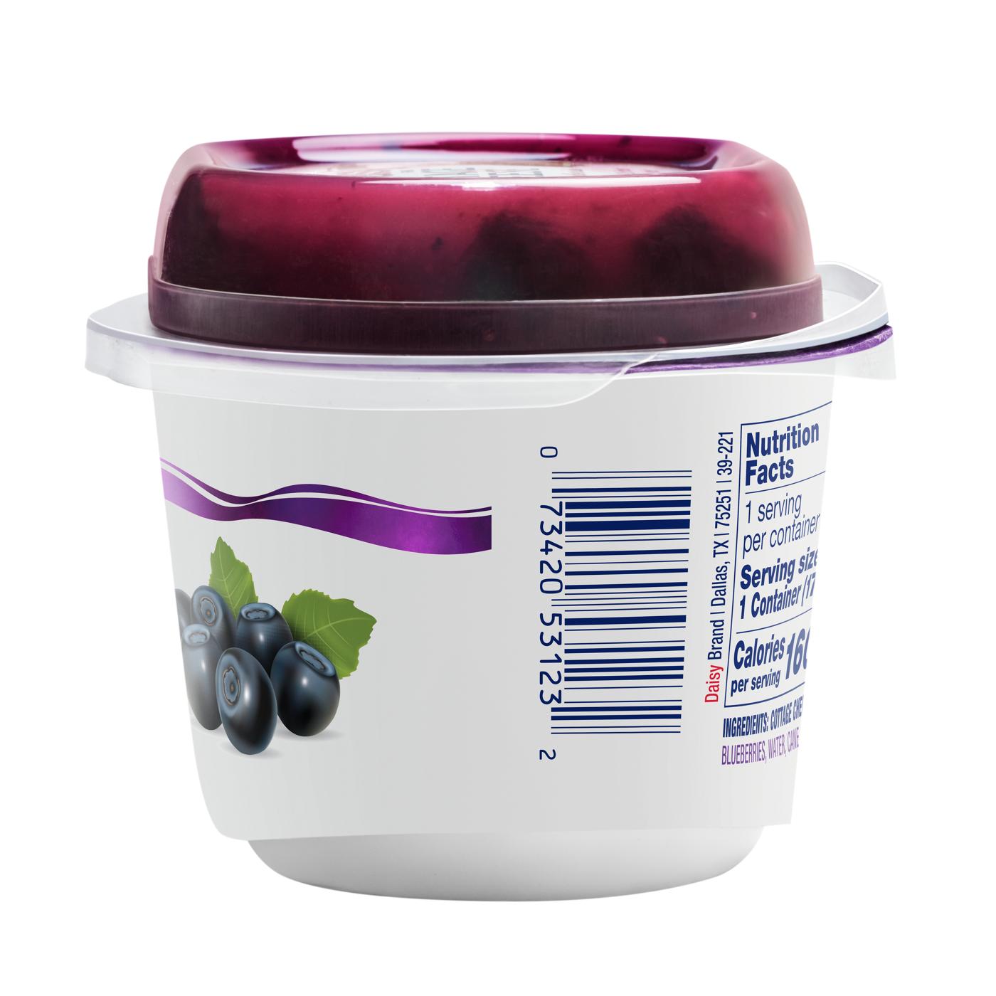 Daisy Cottage Cheese With Blueberries; image 3 of 5