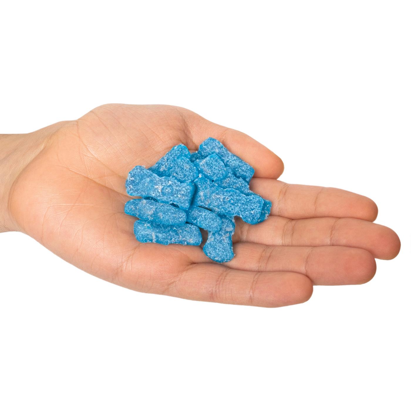 Sour Patch Kids Blue Raspberry Soft & Chewy Candy; image 9 of 10