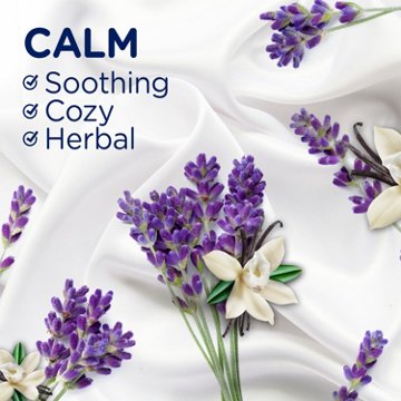 Downy Infusions Calm In-Wash Scent Booster Beads - Lavender & Vanilla, 24 oz