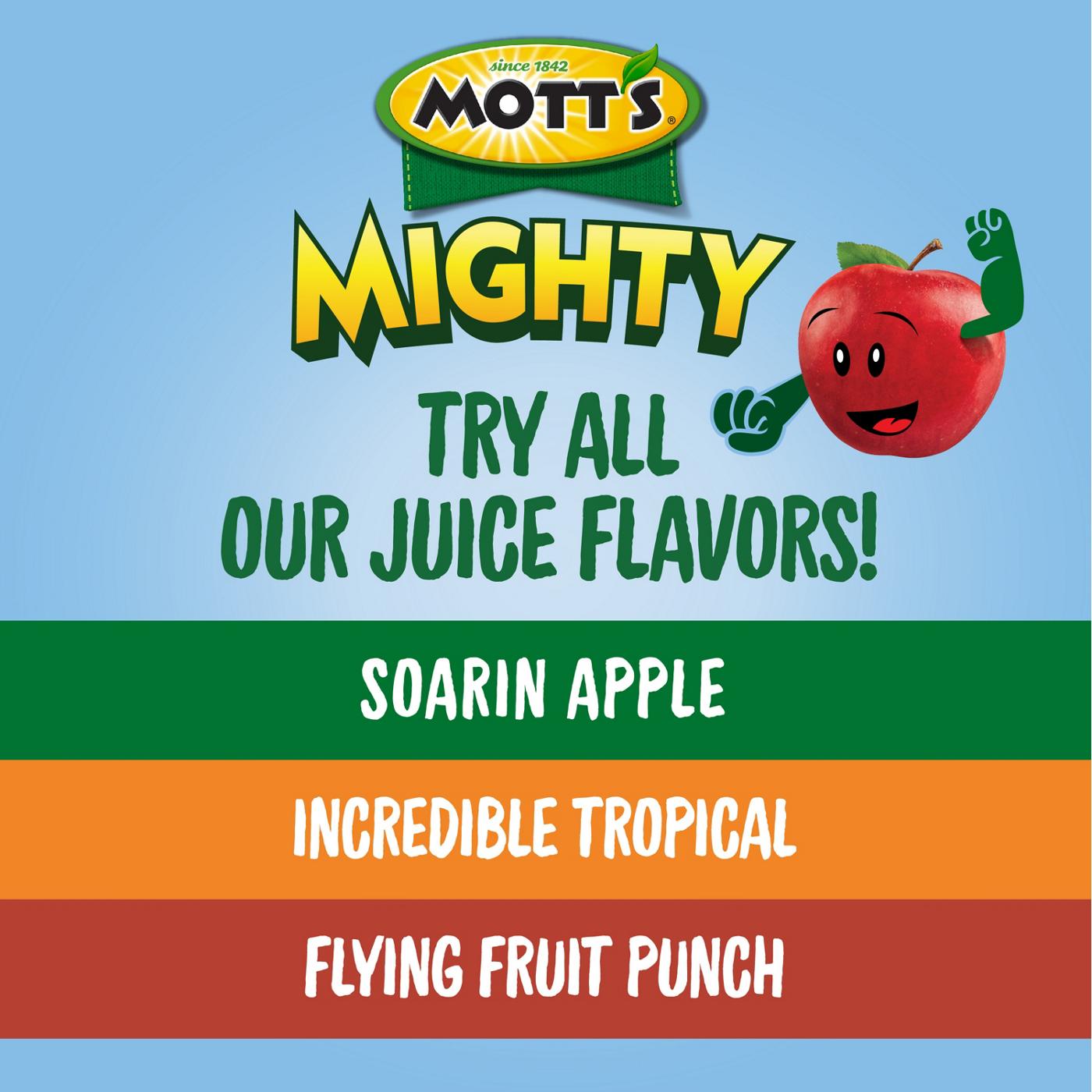 Mott's Mighty Flying Fruit Punch 8 oz Bottles; image 6 of 6