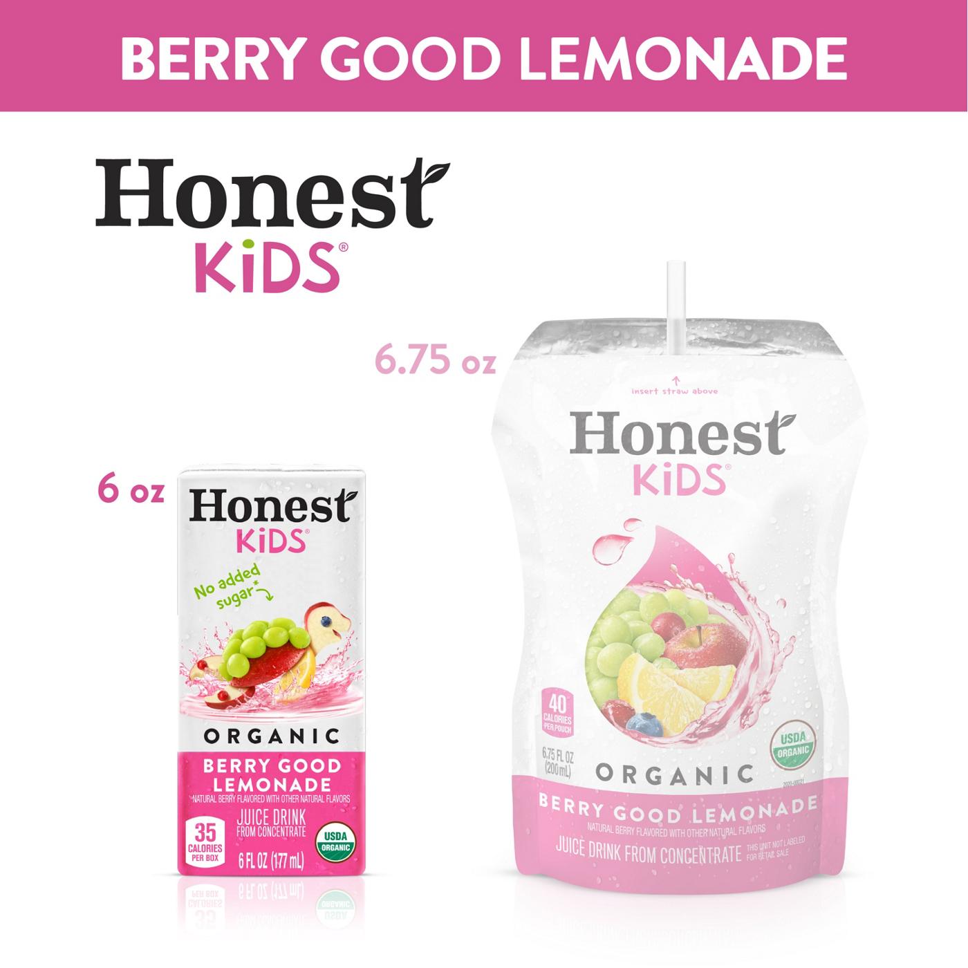 Honest Kids Organic Berry Lemonade Juice Drink 8 pk Boxes; image 4 of 7
