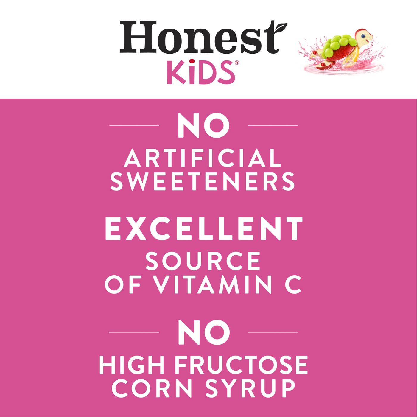 Honest Kids Organic Berry Good Lemonade 8 pk Juice Boxes; image 7 of 7