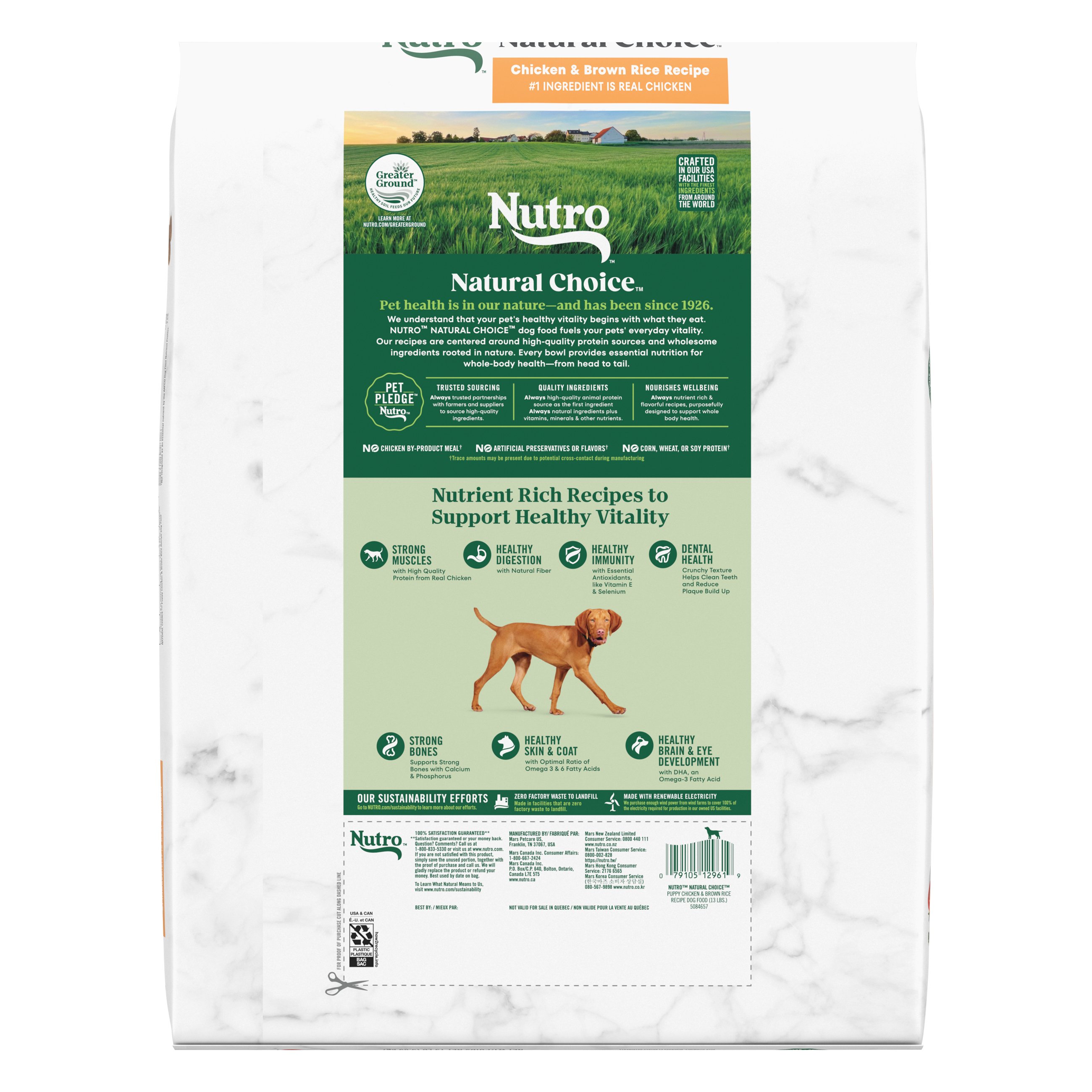 Nutro puppy food lamb and outlet rice