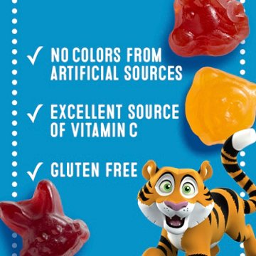 Mott's Assorted Animals Fruit Snacks, 40 ct