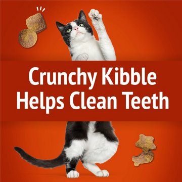 Friskies Purina Cat Treats Party Mix - Gravy-licious Crunch Chicken and Gravy Flavors, 20 oz
