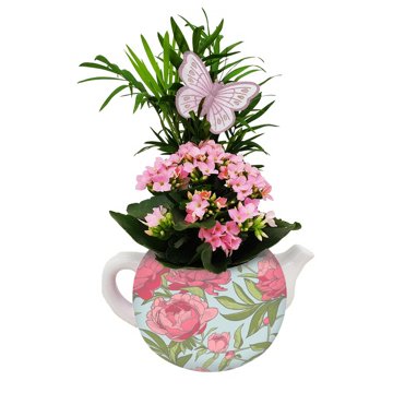 Max & Miles Mother’s Day Teapot