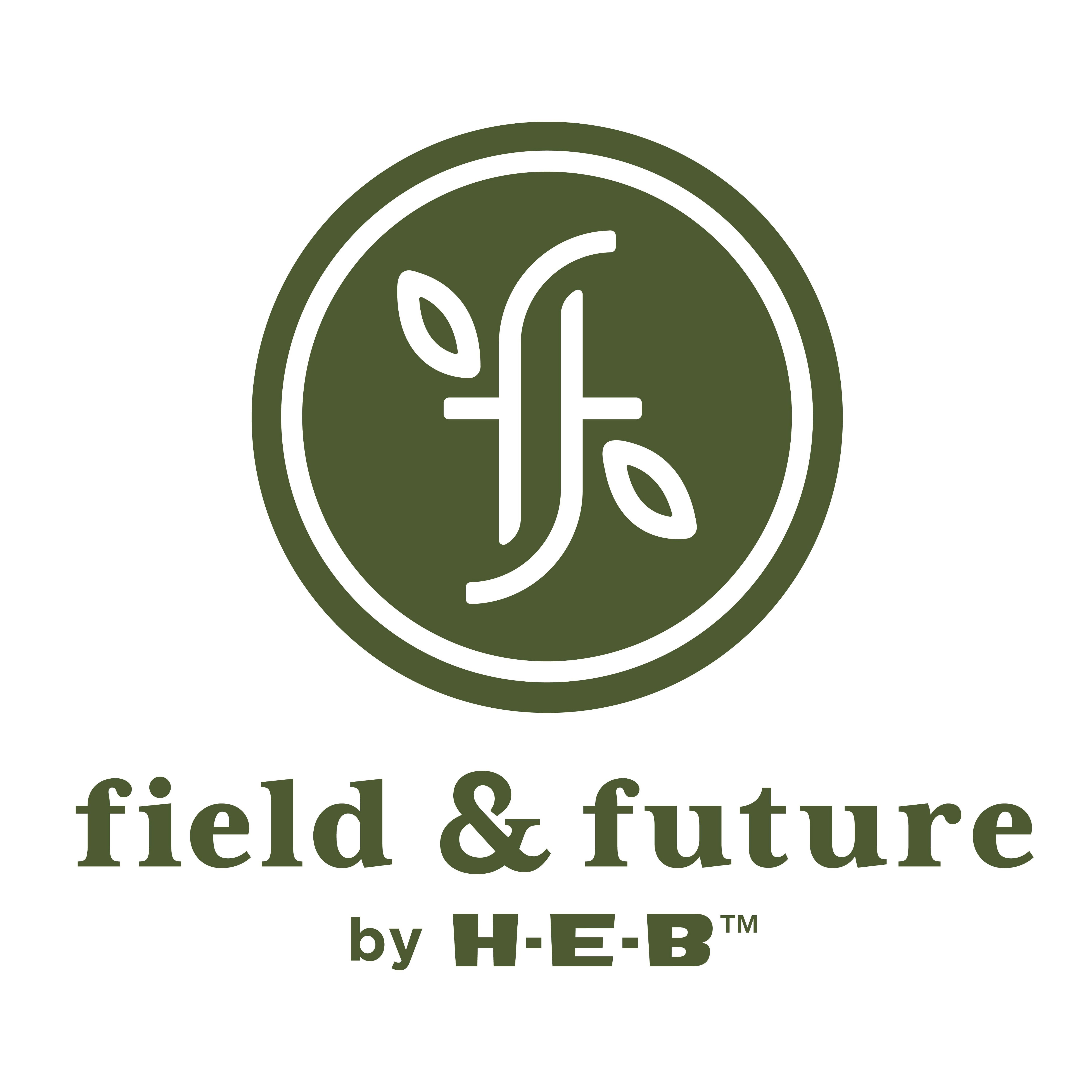 Field & Future by H-E-B Dishwashing Liquid - Honeysuckle & Rose