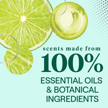 Seventh Generation Lime & Ginger Dish Soap