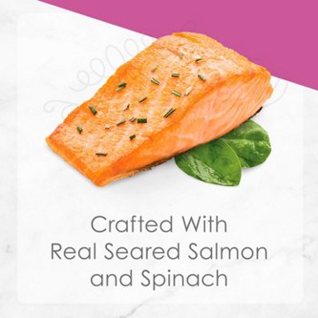 Fancy Feast Purina Petites Gourmet Wet Cat Food -  Seared Salmon Entree With Spinach in Gravy