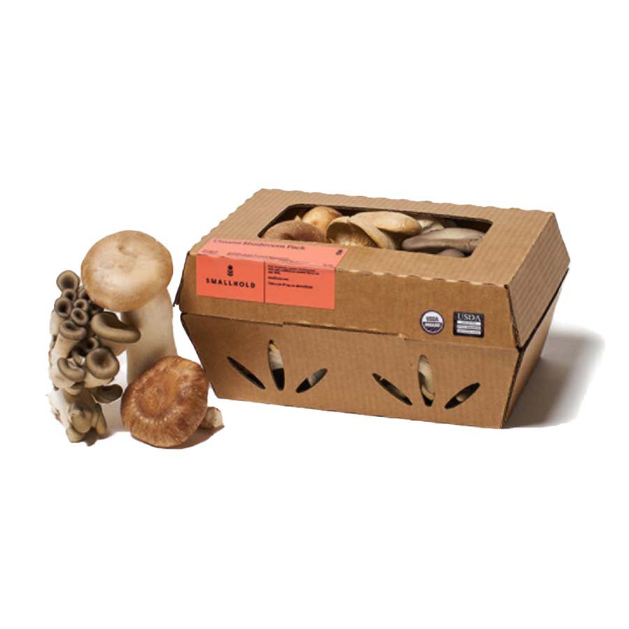 Fresh Mixed Umami Mushroom Pack Shop Mushrooms at HEB