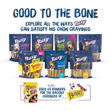 Busy Purina Bone Large Dog Chews With Peanut Butter Flavor, 35 oz