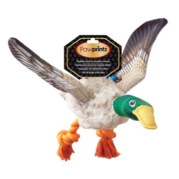 Pawprintz Bird Dog Toy, Assorted
