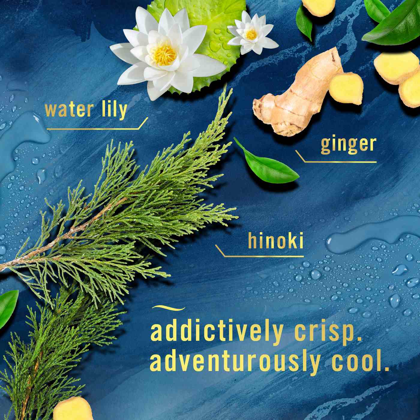 Febreze Luxe Plug In Air Freshener Odor-Fighting Scented Oil Refill - Ocean; image 4 of 10