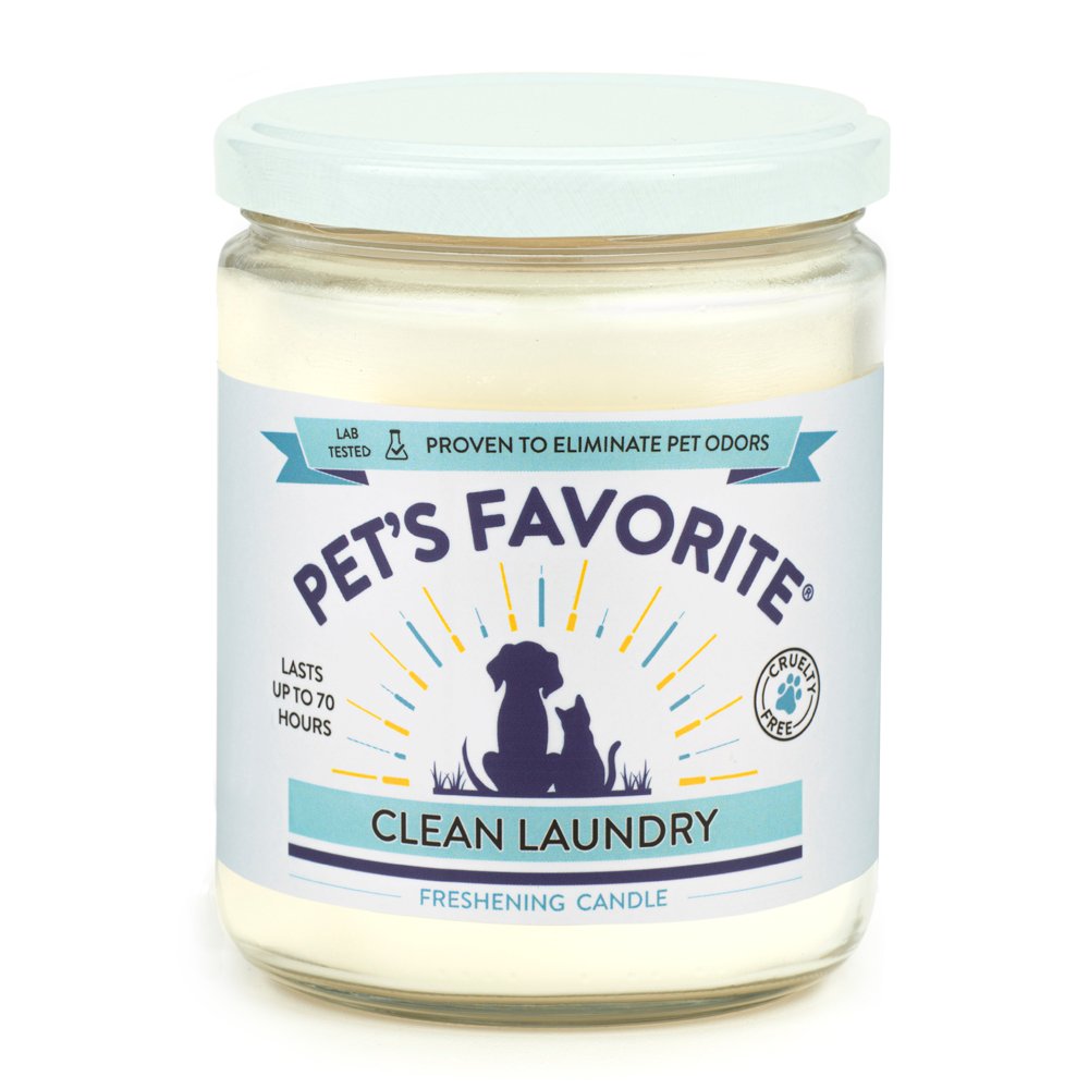 Pet's Favorite Clean Laundry Candle, 12 oz