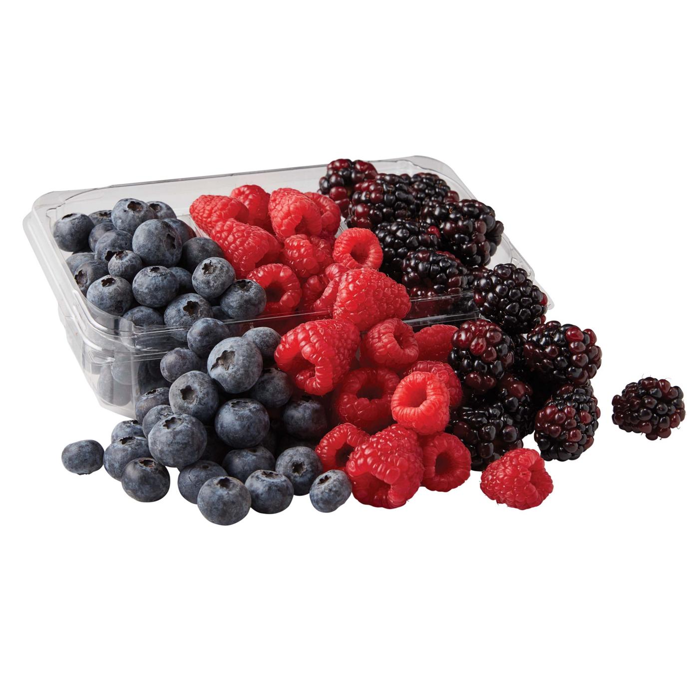 Fresh Jumbo Blueberries - Shop Berries & Cherries at H-E-B