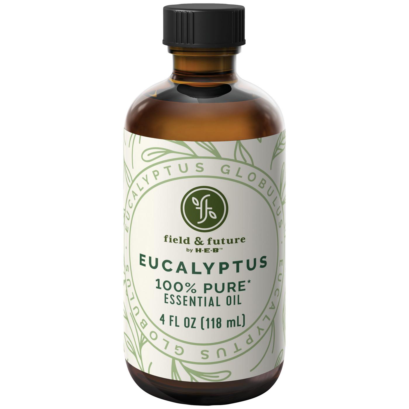 Field & Future by H-E-B Eucalyptus Essential Oil; image 1 of 4