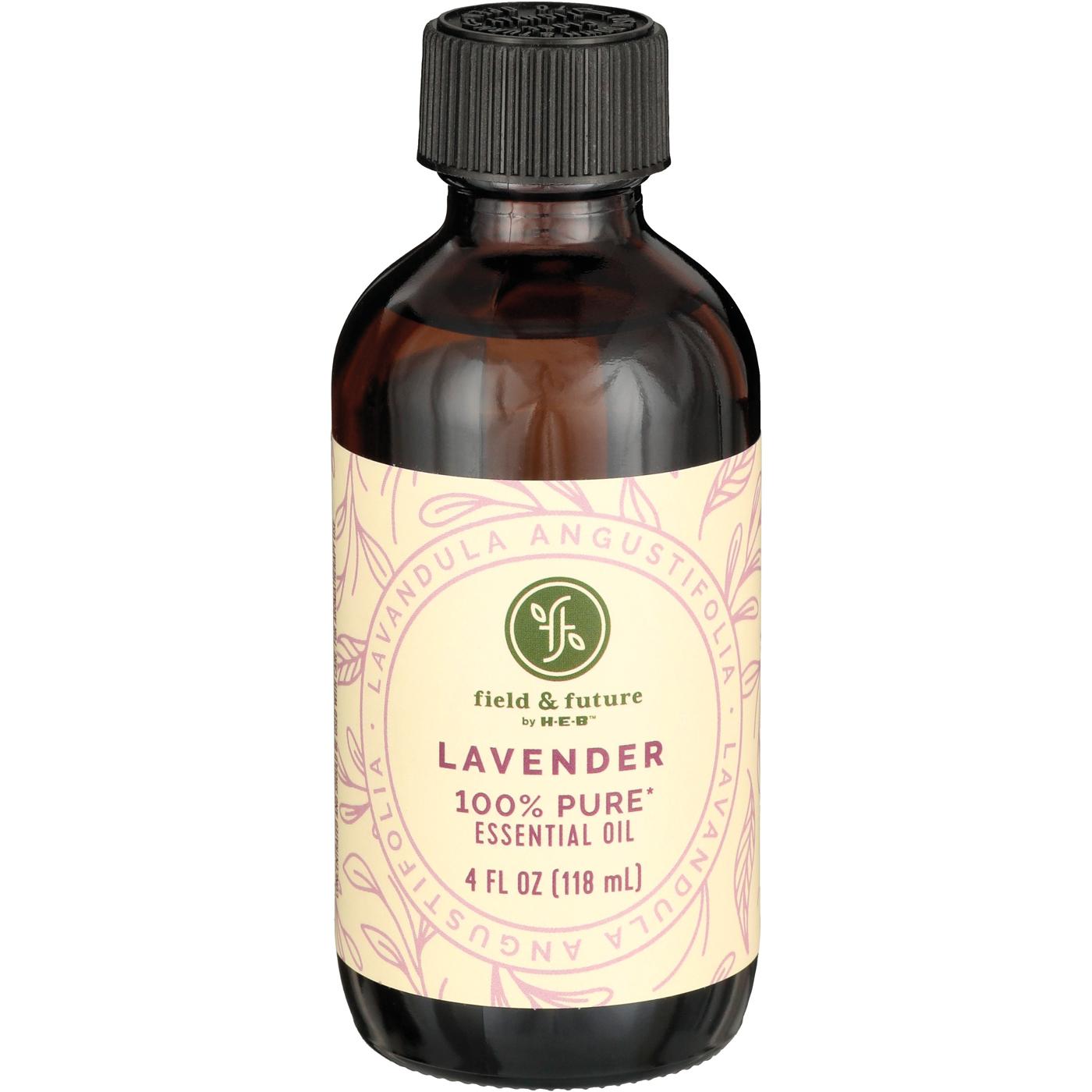 Field & Future by H-E-B Lavender Essential Oil; image 1 of 2