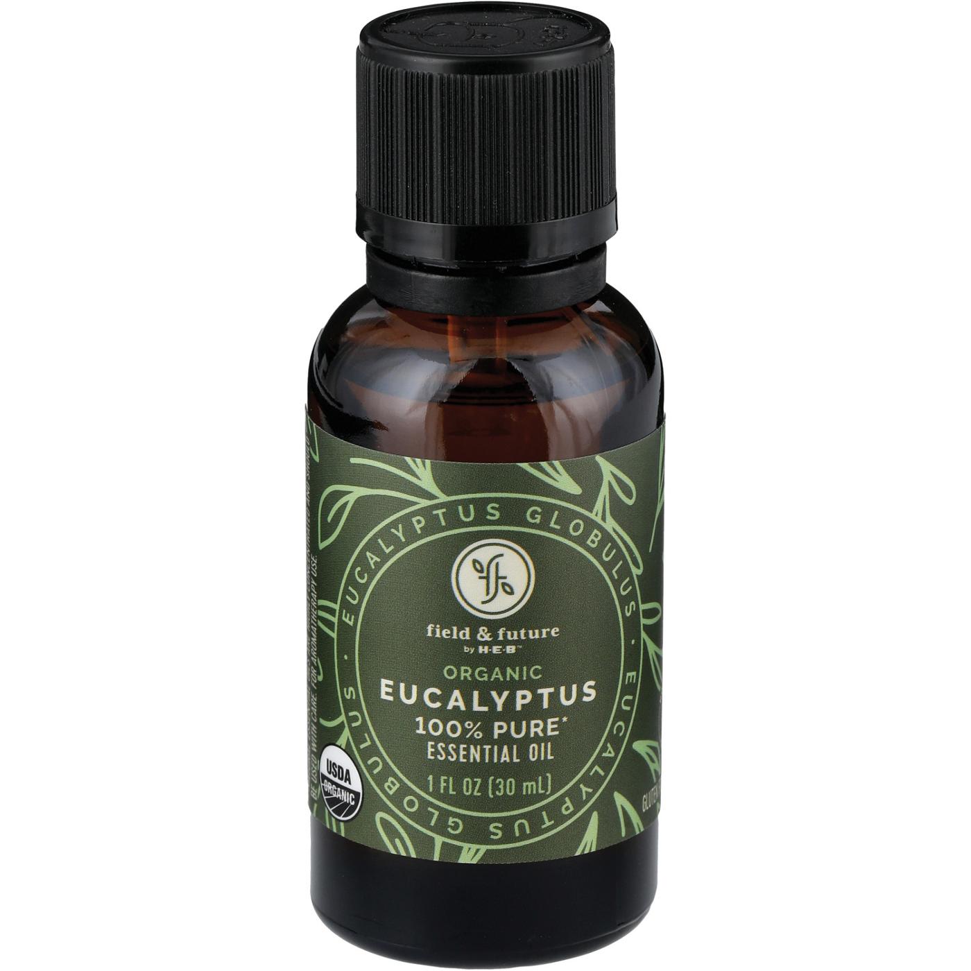 Field & Future by H-E-B Organic Eucalyptus Essential Oil; image 1 of 3