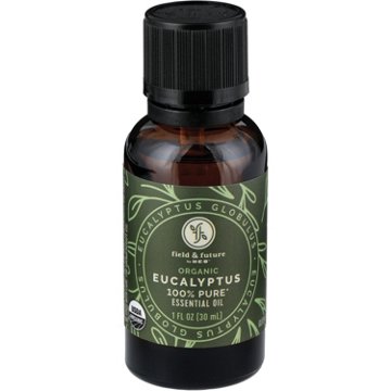 Field & Future by H-E-B Organic Eucalyptus Essential Oil, 1 oz
