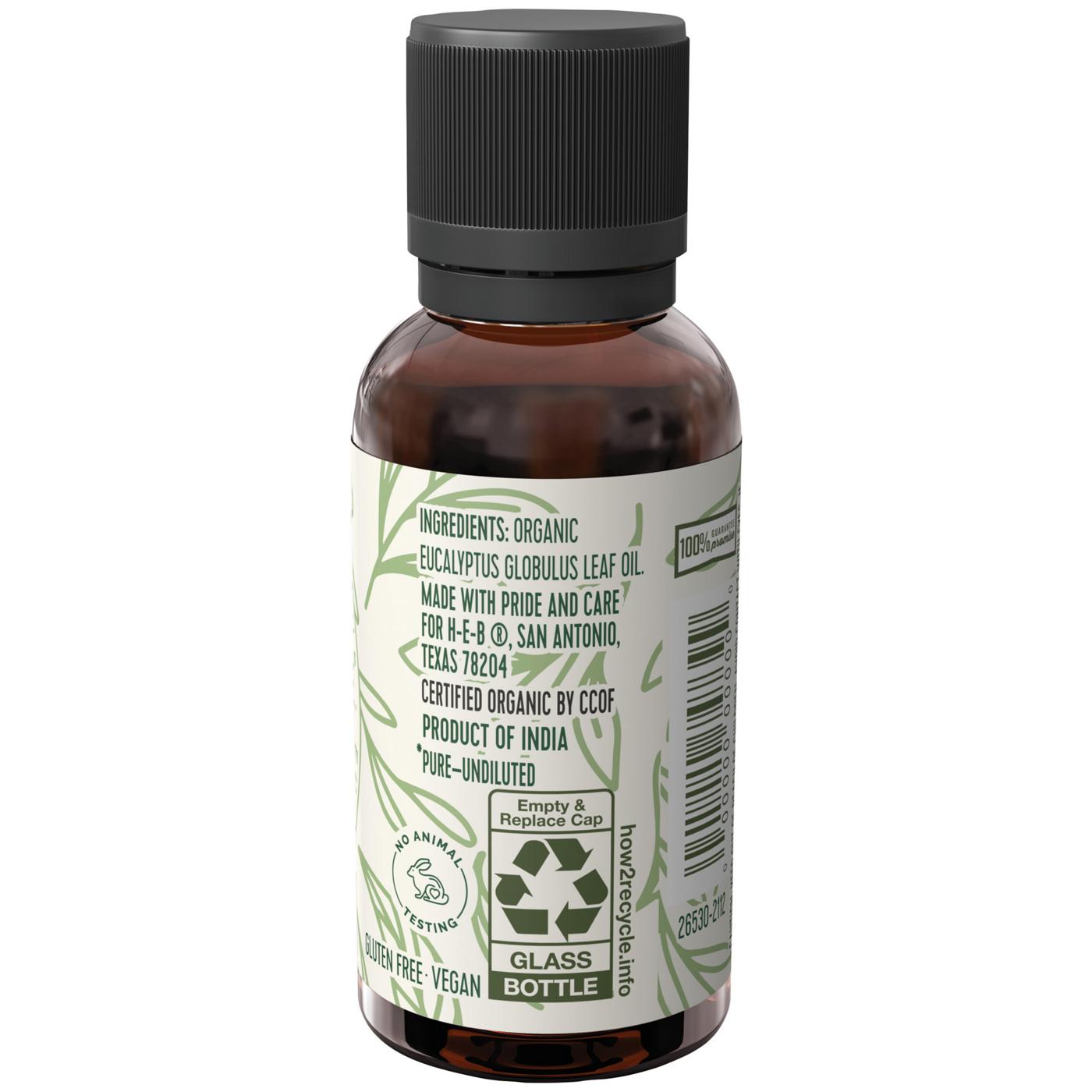 Field & Future by H-E-B Organic Eucalyptus Essential Oil; image 5 of 5