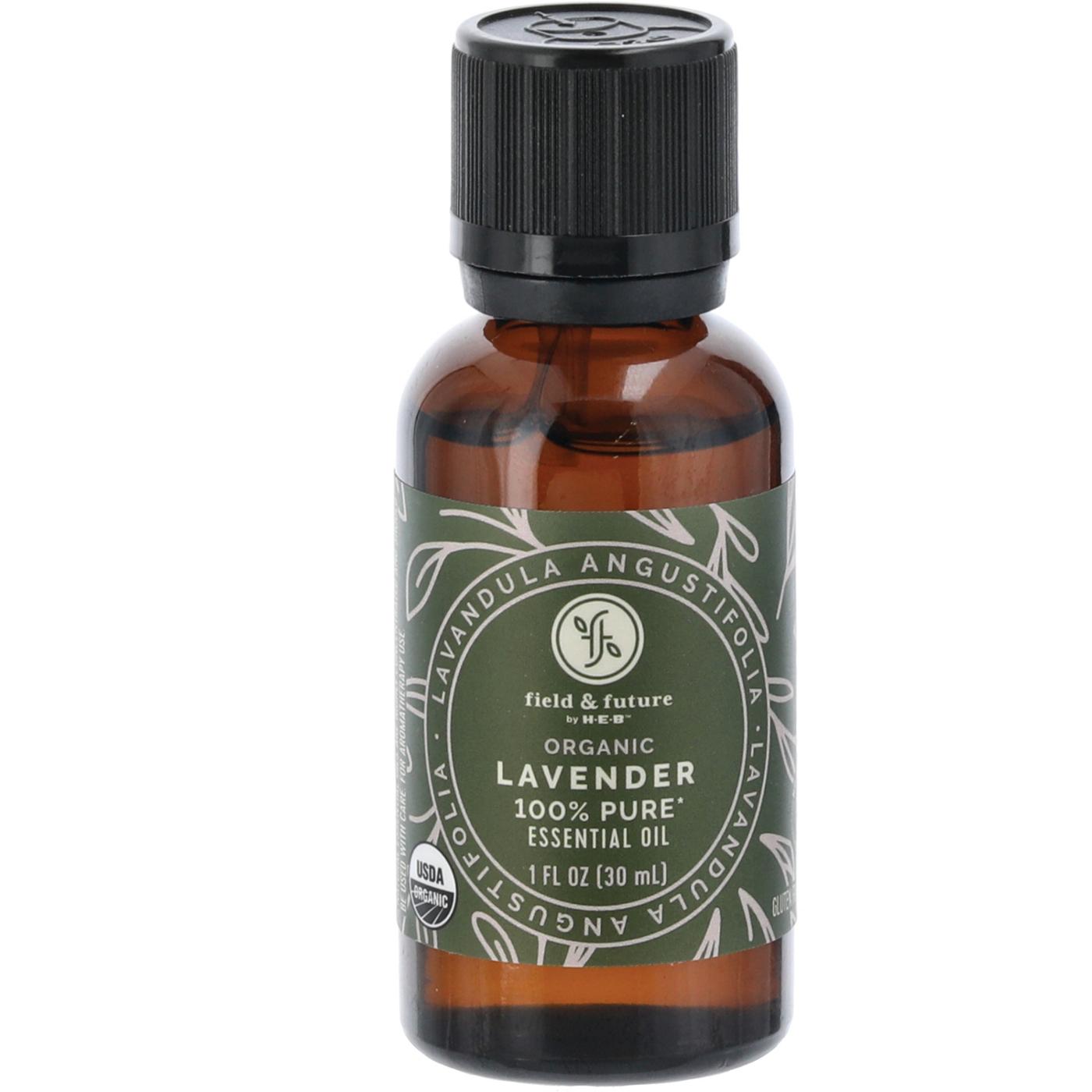 Field & Future by H-E-B Organic Lavender Essential Oil; image 1 of 3
