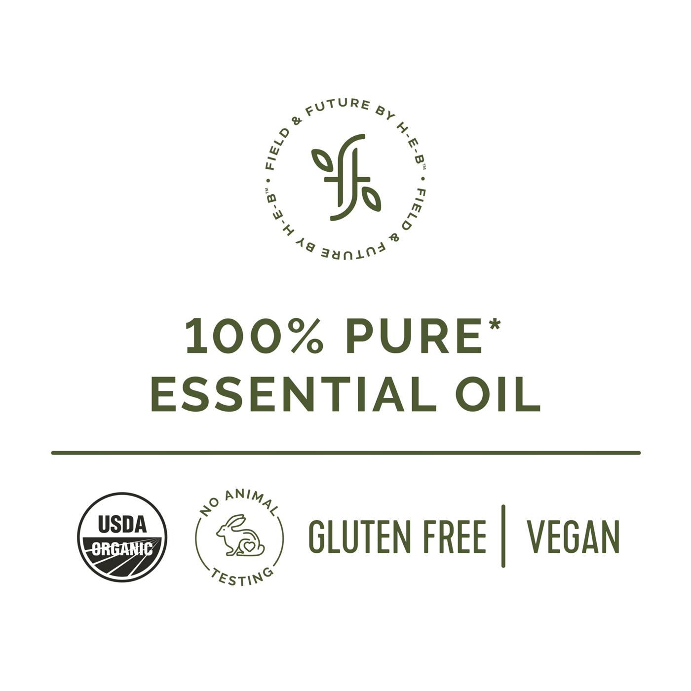 Field & Future by H-E-B Organic Lavender Essential Oil; image 2 of 3