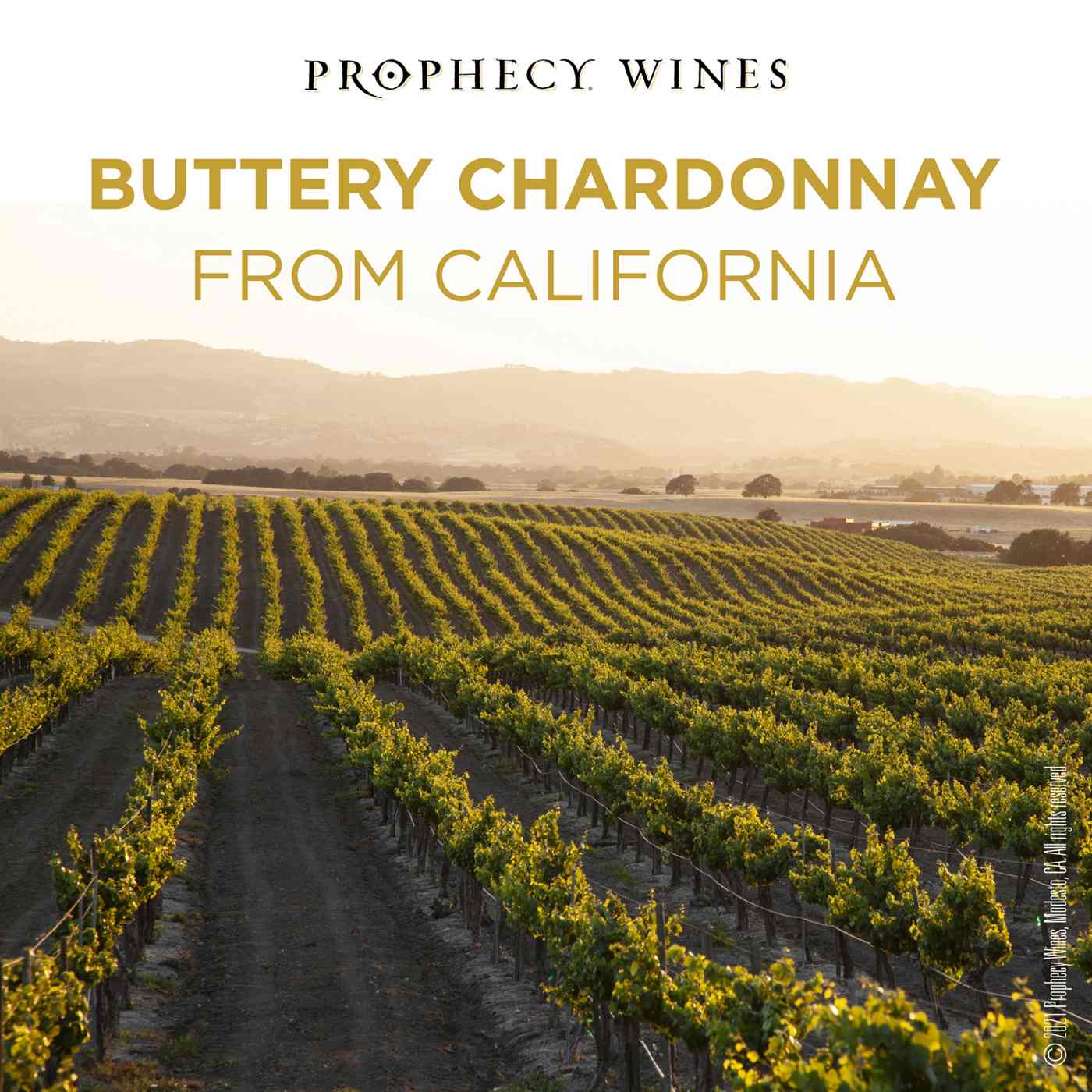 Prophecy Buttery Chardonnay; image 6 of 8