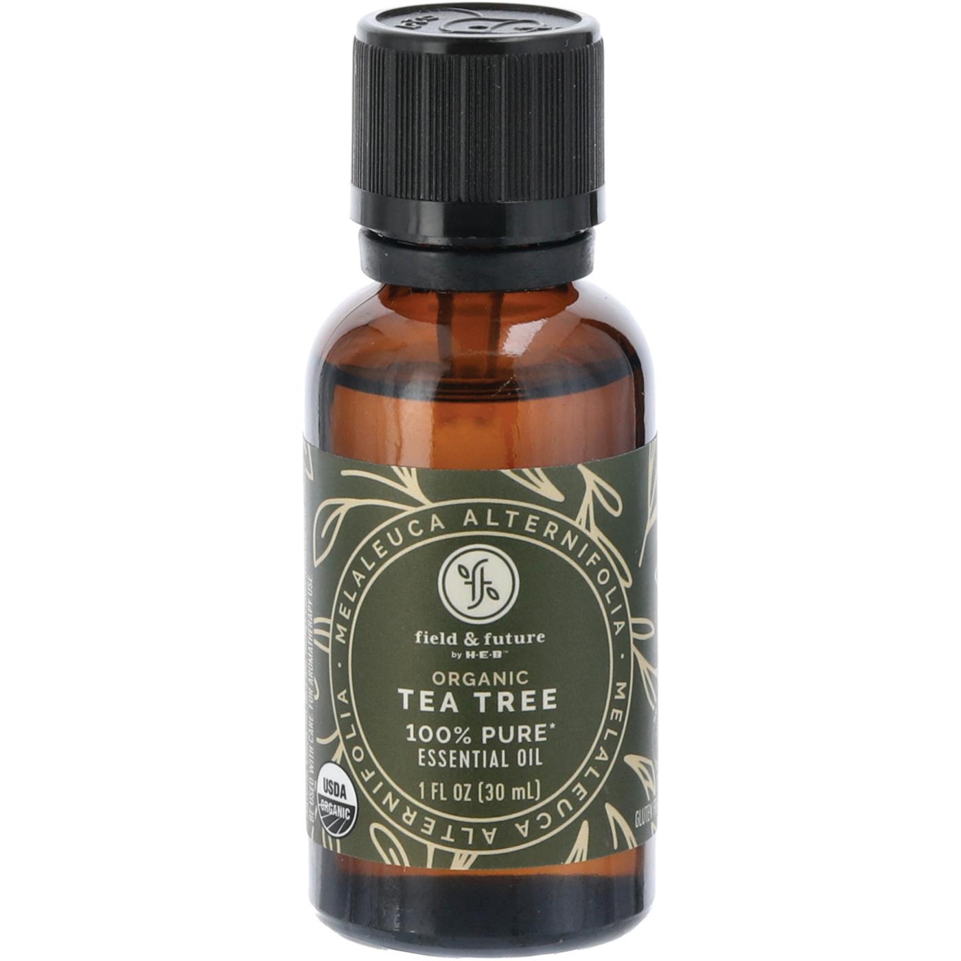 Field & Future by H-E-B Organic Tea Tree Essential Oil; image 1 of 5